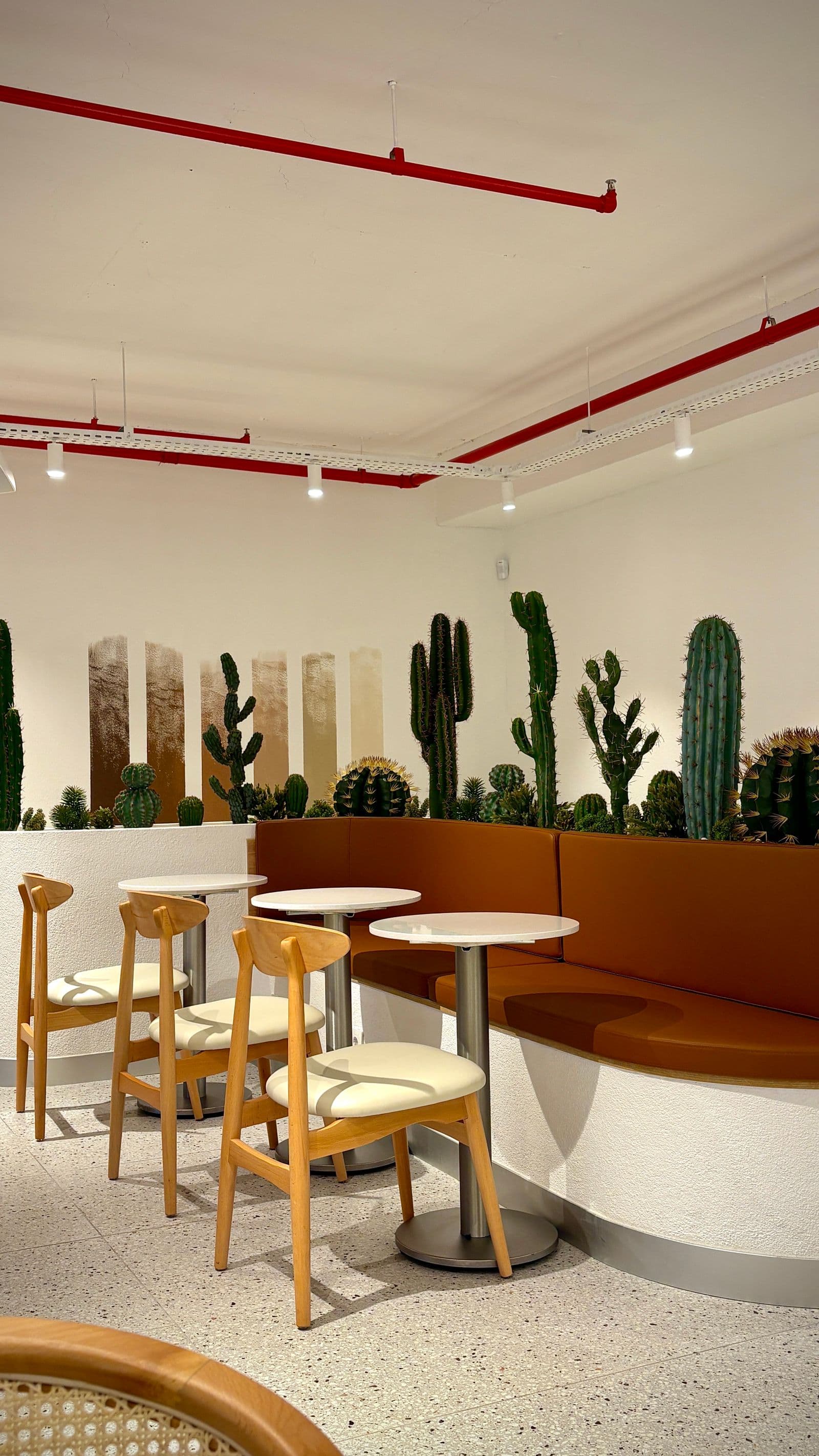 Labone Café Fit-out