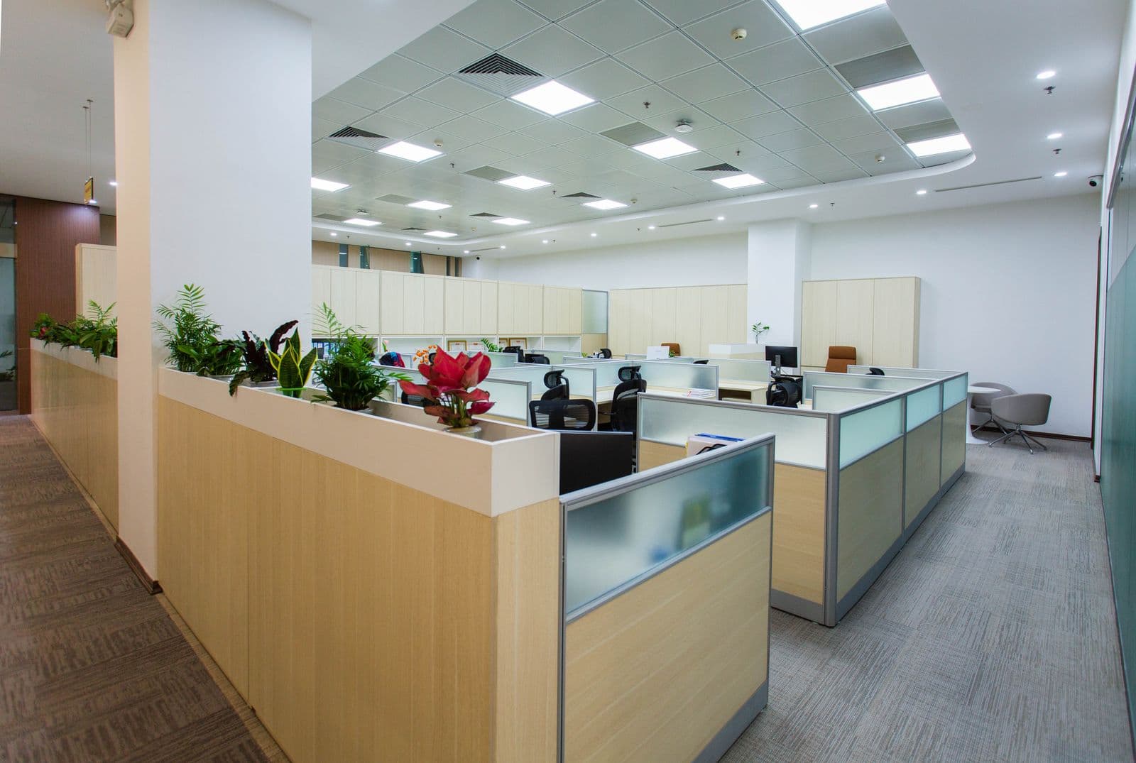 Ridge Corporate Fit-out