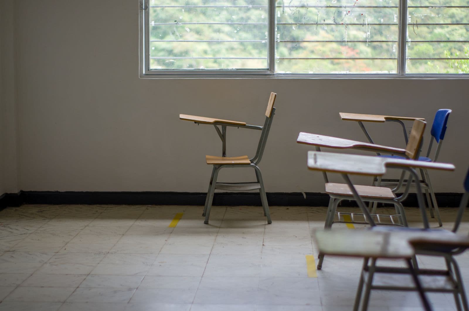 Tema Basic School: view 7
